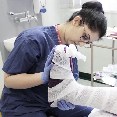 Steeper Group Steeper Group Improving Diabetic Care